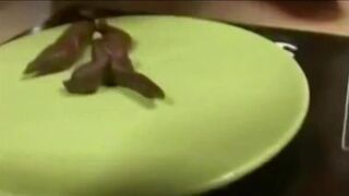 Marion shits on a plate 2, ScatKings.com Scat Porn 14 ScatKings.com Scat Porn