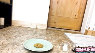 Mmm Freshly Made Shit Snack, ScatKings.com Scat Porn 5 ScatKings.com Scat Porn