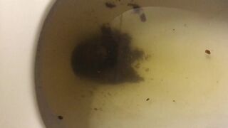 Not much but it’s something, ScatKings.com Scat Porn 26 ScatKings.com Scat Porn