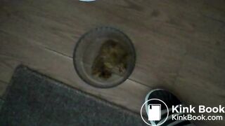 POO Combo !, ScatKings.com Scat Porn 17 ScatKings.com Scat Porn