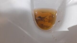 Seriously full of shit this morning, ScatKings.com Scat Porn 9 ScatKings.com Scat Porn